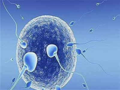 代怀选性别包生男孩代生医院